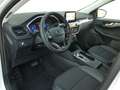 Ford Kuga 2.5 PHEV Titanium X B&O+Winter+AUT+Navi+RKam Weiß - thumbnail 15