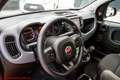 Fiat Panda 1.0 hybrid City Life - Ok neopatentati! Rouge - thumbnail 6