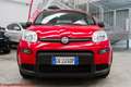 Fiat Panda 1.0 hybrid City Life - Ok neopatentati! Rouge - thumbnail 18