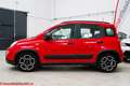 Fiat Panda 1.0 hybrid City Life - Ok neopatentati! Rouge - thumbnail 16