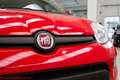 Fiat Panda 1.0 hybrid City Life - Ok neopatentati! Rouge - thumbnail 20