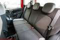 Fiat Panda 1.0 hybrid City Life - Ok neopatentati! Rouge - thumbnail 29
