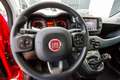 Fiat Panda 1.0 hybrid City Life - Ok neopatentati! Rouge - thumbnail 8