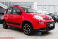Fiat Panda 1.0 hybrid City Life - Ok neopatentati! Rouge - thumbnail 3