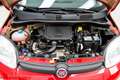Fiat Panda 1.0 hybrid City Life - Ok neopatentati! Rouge - thumbnail 15