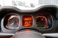 Fiat Panda 1.0 hybrid City Life - Ok neopatentati! Rouge - thumbnail 7