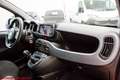 Fiat Panda 1.0 hybrid City Life - Ok neopatentati! Rouge - thumbnail 27