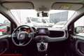 Fiat Panda 1.0 hybrid City Life - Ok neopatentati! Rouge - thumbnail 25