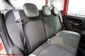 Fiat Panda 1.0 hybrid City Life - Ok neopatentati! Rouge - thumbnail 12