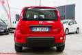 Fiat Panda 1.0 hybrid City Life - Ok neopatentati! Rouge - thumbnail 17