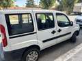 Fiat Doblo Dobló Cargo 1.3Mjt Base - thumbnail 4