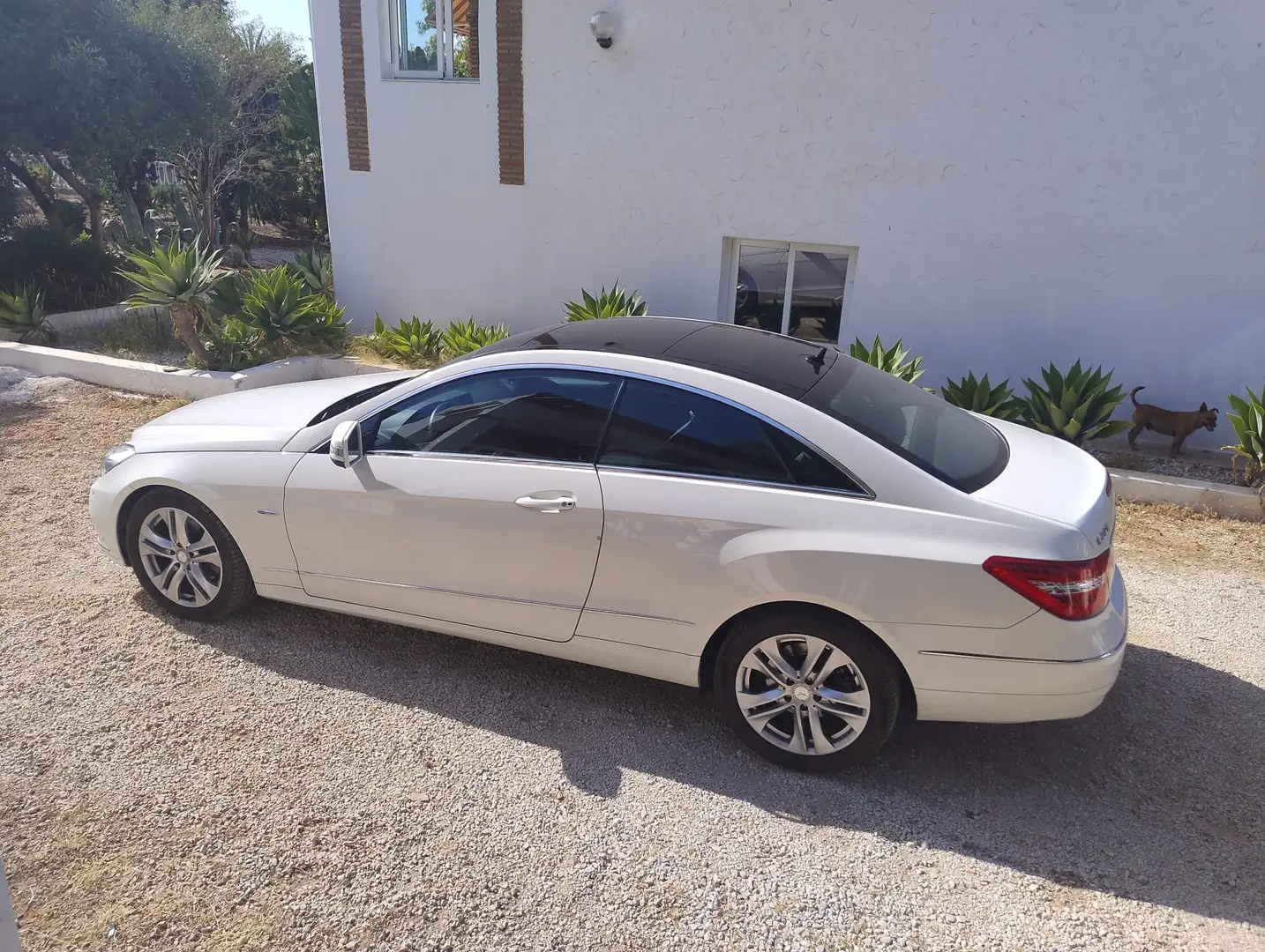 Mercedes-Benz E 220 E Coupé 220CDI BE Aut. Blanco - 1