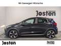 Ford Fiesta Active Colourline 1.0 CarPlay B&O PDC Climatronic Zwart - thumbnail 3
