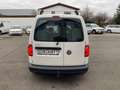 Volkswagen Caddy Nfz Kasten BMT Weiß - thumbnail 7
