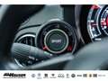 Abarth 595 Competizione 1.4 T-Jet SABELT BEATS NAVI PDC BI-XENON APPLE AND Grau - thumbnail 29