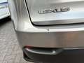 Lexus NX 300h NX 300h AWD F Sport Line Grau - thumbnail 15