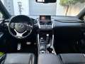 Lexus NX 300h NX 300h AWD F Sport Line Grau - thumbnail 6