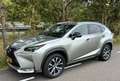 Lexus NX 300h NX 300h AWD F Sport Line Grau - thumbnail 4
