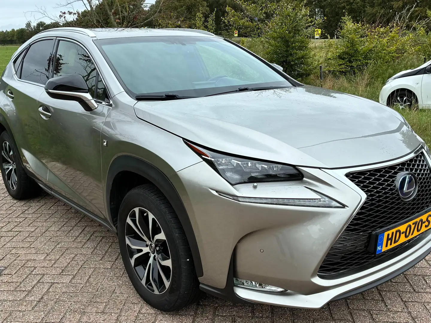 Lexus NX 300h NX 300h AWD F Sport Line Grau - 2