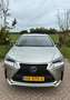 Lexus NX 300h NX 300h AWD F Sport Line Grau - thumbnail 3
