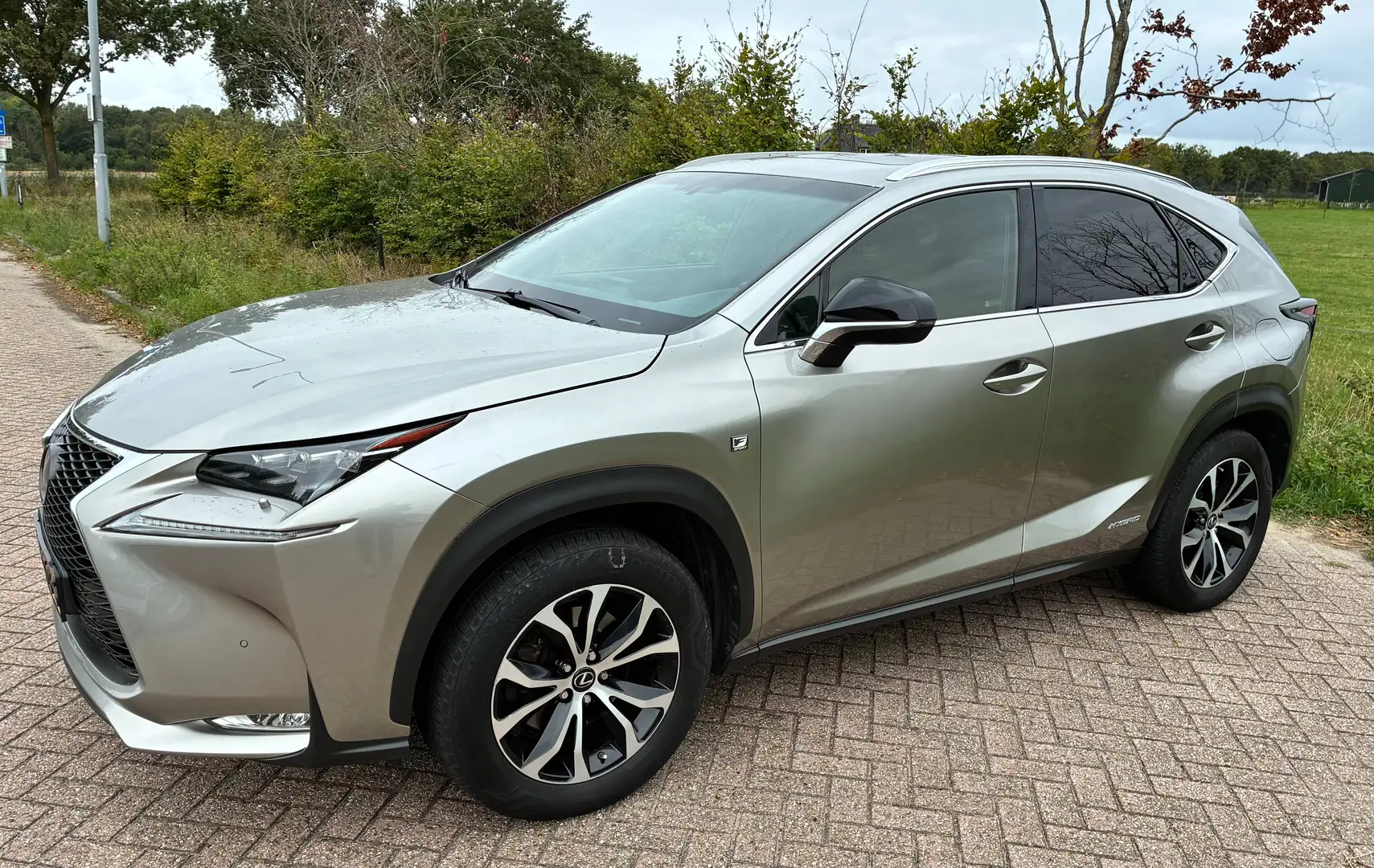 Lexus NX 300h NX 300h AWD F Sport Line Grau - 1