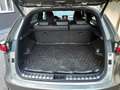 Lexus NX 300h NX 300h AWD F Sport Line Grau - thumbnail 14
