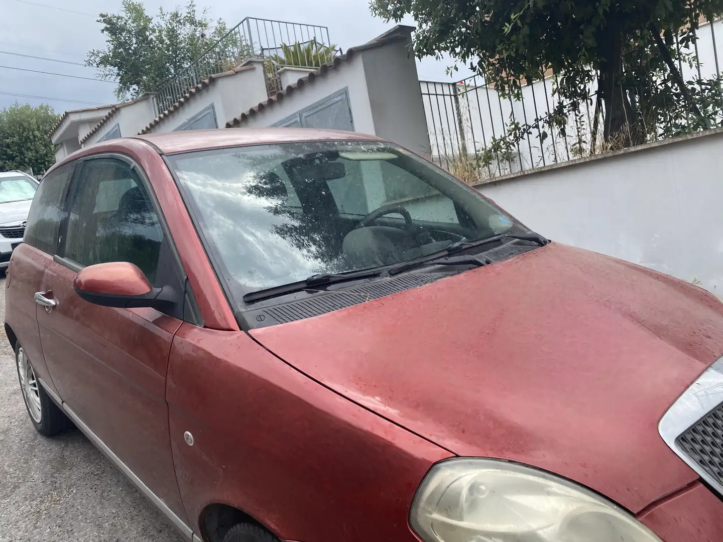 Lancia Ypsilon 1.3 mjt 16v Oro Rosso - 2