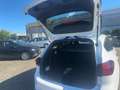 Ford Focus Turnier 1.0 EcoBoost ST-Line **DAB**LED Weiß - thumbnail 8
