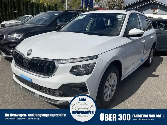 Skoda Kamiq 1.5 TSI Selection, AHK, LED, Kamera, Winter, Ladeb
