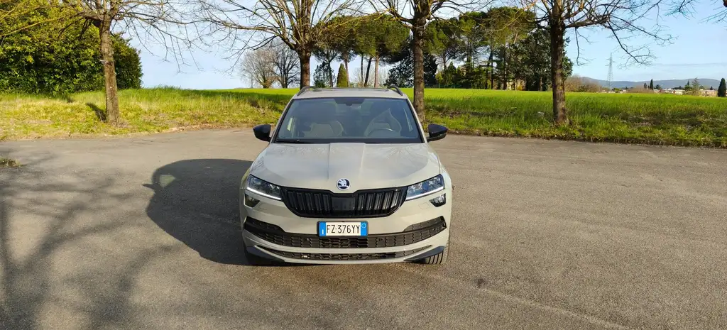 Skoda Karoq 2020 из Европы — купить под ключ