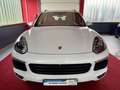 Porsche Cayenne S 4,2D LED 360° Luft 12Wege 21Zol Keyles Blanc - thumbnail 4