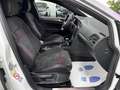 Volkswagen Golf GTI 2.0 TSI Performance DSG/IXENON/GPS/JANTES/GARANTIE Blanc - thumbnail 14