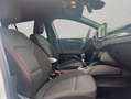 Ford Focus Turnier 1.0 Hybrid Aut. ST-LINE X *AHK*SH Wit - thumbnail 18