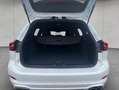 Ford Focus Turnier 1.0 Hybrid Aut. ST-LINE X *AHK*SH Wit - thumbnail 5