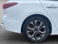 Ford Focus Turnier 1.0 Hybrid Aut. ST-LINE X *AHK*SH Wit - thumbnail 27