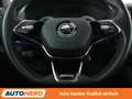 Skoda Karoq 2.0 TDI Sportline 4x4 Aut.*NAVI*LED*ACC* Gris - thumbnail 19