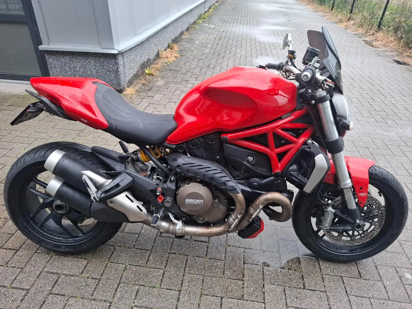 Ducati Monster 1200 Bronze - 1