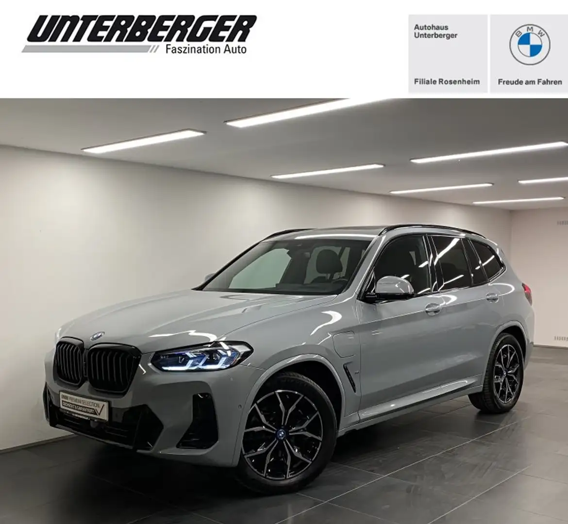 BMW X3 xDrive30e M Sportpaket Head-Up HK HiFi DAB Grau - 1