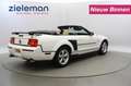 Ford Mustang 4.0 V6 Convertible Automaat - Leer Wit - thumbnail 2