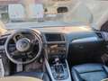 Audi Q5 2.0 tdi quattro 190cv - thumbnail 7