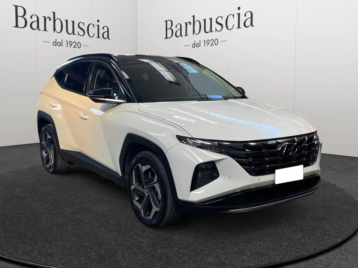 Hyundai TUCSON III 2021 - 1.6 hev Exellence Leather Pack 2wd Bianco - 2