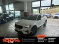Volvo XC40 2.0 B3 G Plus Dark Auto Blanco - thumbnail 1