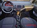 Kia Picanto Picanto 1.0 12V EcoGPL 5 porte Active Collection - thumbnail 8