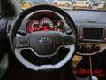 Kia Picanto Picanto 1.0 12V EcoGPL 5 porte Active Collection - thumbnail 9