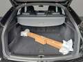 Audi Q5 Sportback S line 40 TDI quattro 150(204) kW(PS) S Schwarz - thumbnail 20