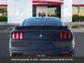 Ford Mustang Shelby GT350 526 Hors homologation 4500e Noir - thumbnail 16