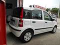 Fiat Panda 1.2 Dynamic Gpl x neopatentati km 140000 Blanc - thumbnail 3