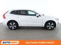 Volvo XC60 2.0 T6 Recharge Plug-in Hybrid Plus Bright AWD Weiß - thumbnail 7