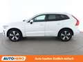 Volvo XC60 2.0 T6 Recharge Plug-in Hybrid Plus Bright AWD Weiß - thumbnail 3