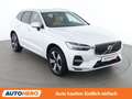 Volvo XC60 2.0 T6 Recharge Plug-in Hybrid Plus Bright AWD Weiß - thumbnail 8